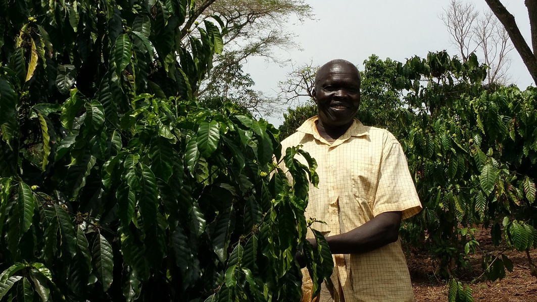 TechnoServe_farmer_Isaya_South_Sudan_0.jpg