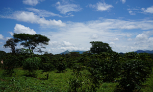 South Sudan