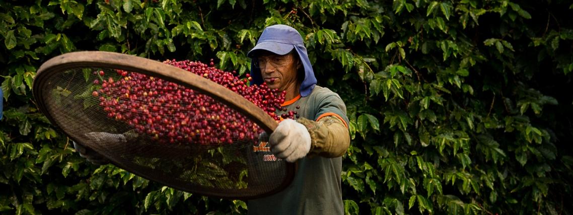 Celebrating 15 years of the Nespresso 